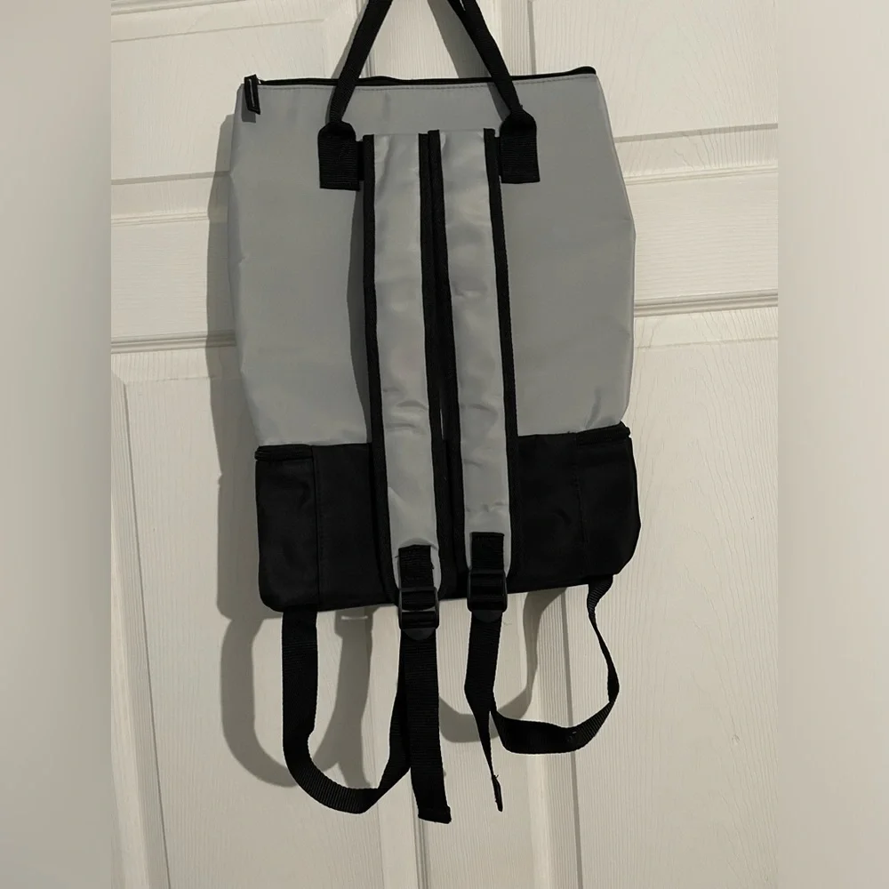 DSW backpack